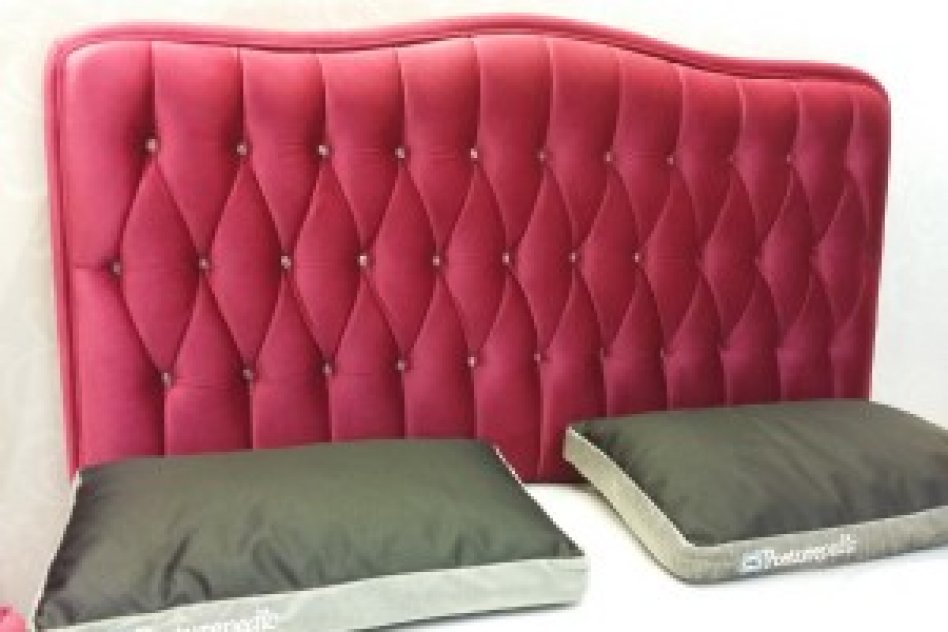 Absolute Bedding