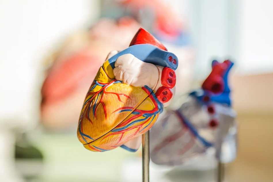 heart specialist centre