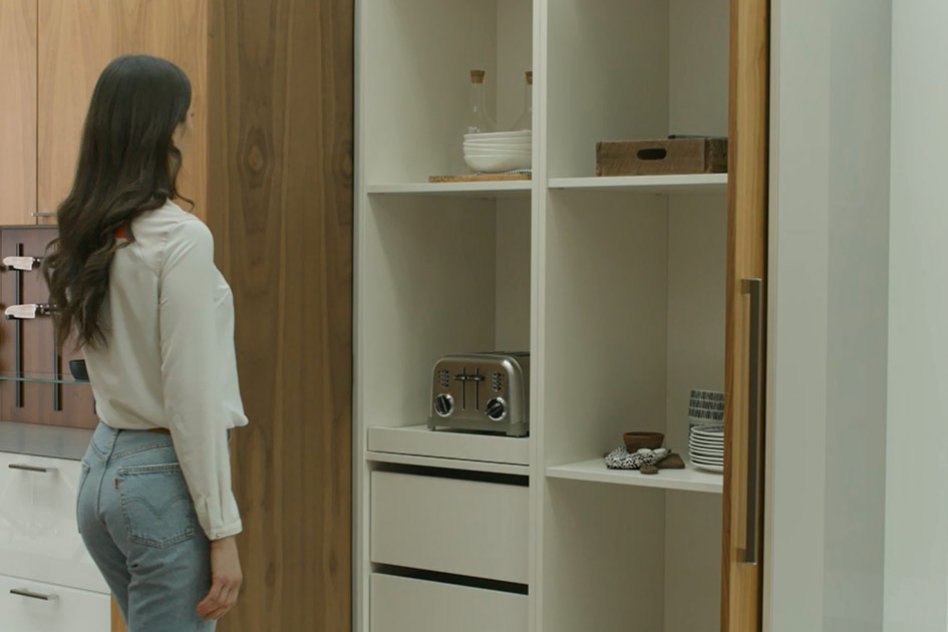 Flush door