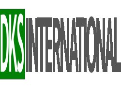 Dks International Supplier & Services